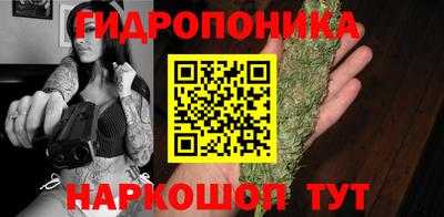 стаф Коммунар
