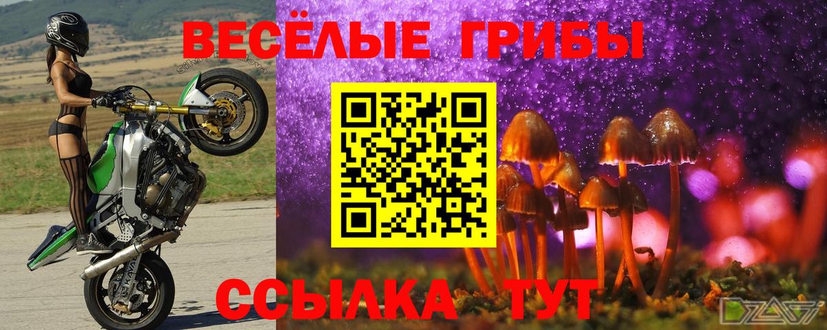Псилоцибиновые грибы MAGIC MUSHROOMS Гусиноозёрск