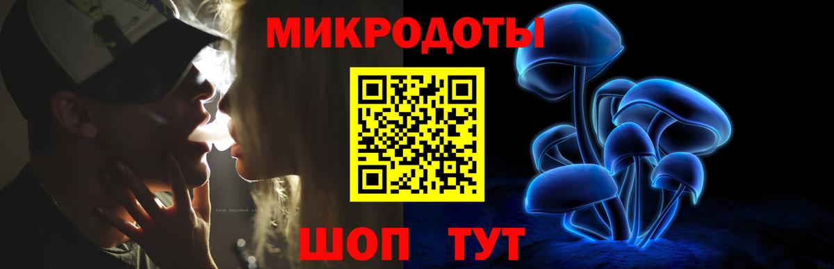Гусиноозёрск  Галлюциногенные грибы Psilocybe  купить наркотик  Галлюциногенные грибы мицелий  Вход с VPN 